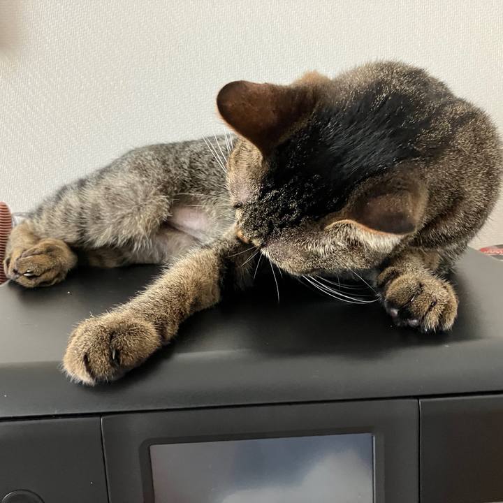 728907b2 8147 4a65 8eab 8287b57299cc 1758890047190