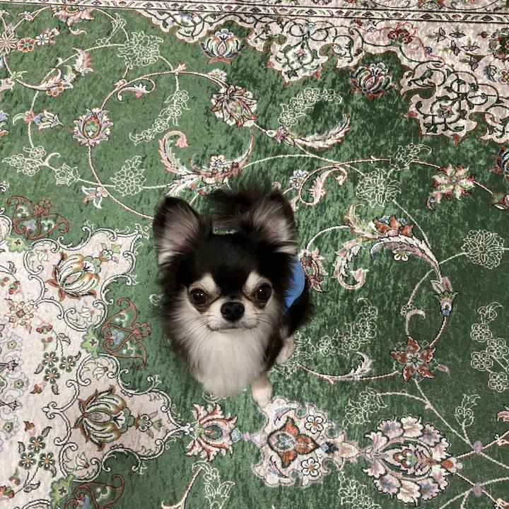 72891e30 9a7d 46af 8e5b 4203e466a046 1652624107926