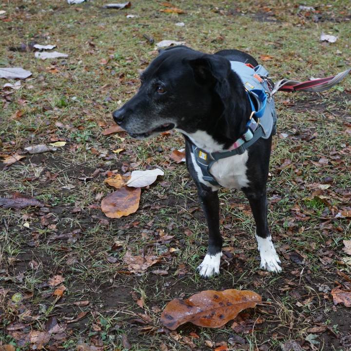 728936f4 2f67 4dcc a9cd b06a4a6524cf 1762737825664