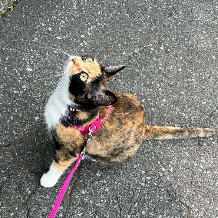 72899bb7 7ff6 493f b113 91482804f3a4 1689687075897