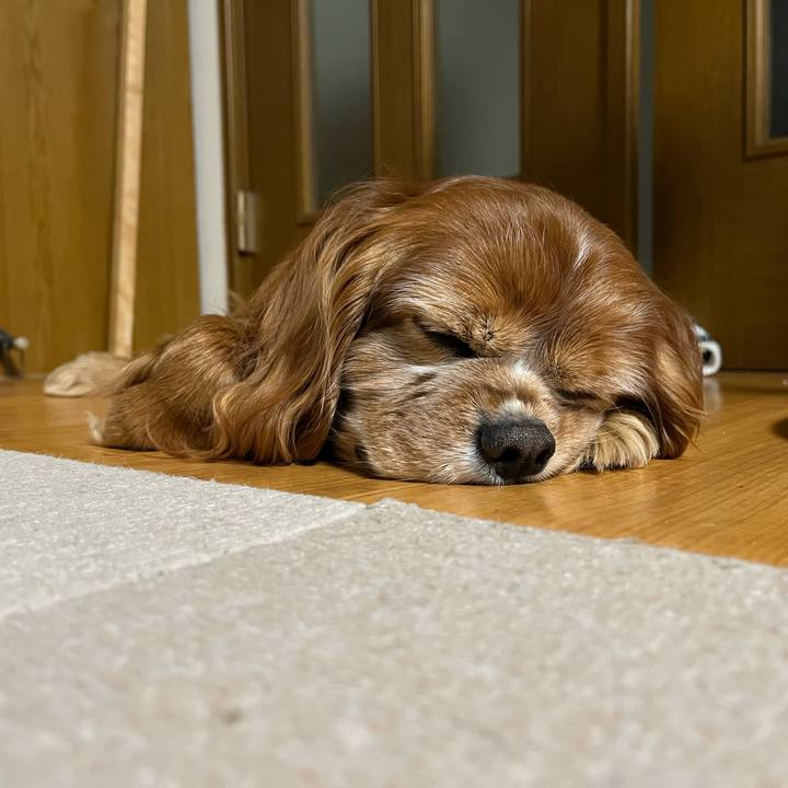 72899c0c ef42 412d 8877 4b5885db7e4c 1772666659086