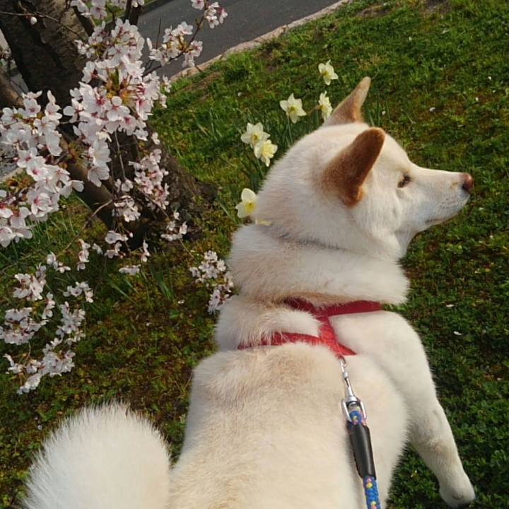 7289af6f 6621 4c09 8370 171663f43947 1522570178411