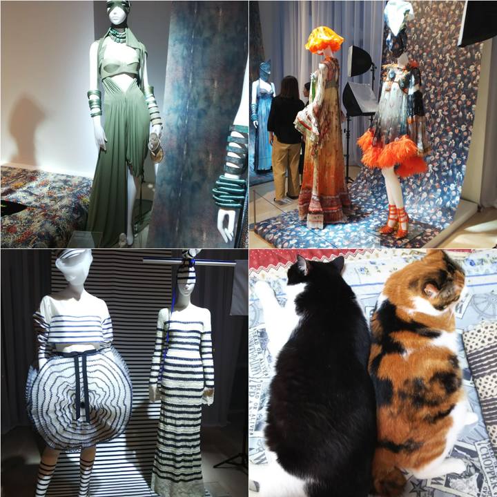 7289e365 25f8 4c27 b4b2 a7489b3fd989 1570970689563