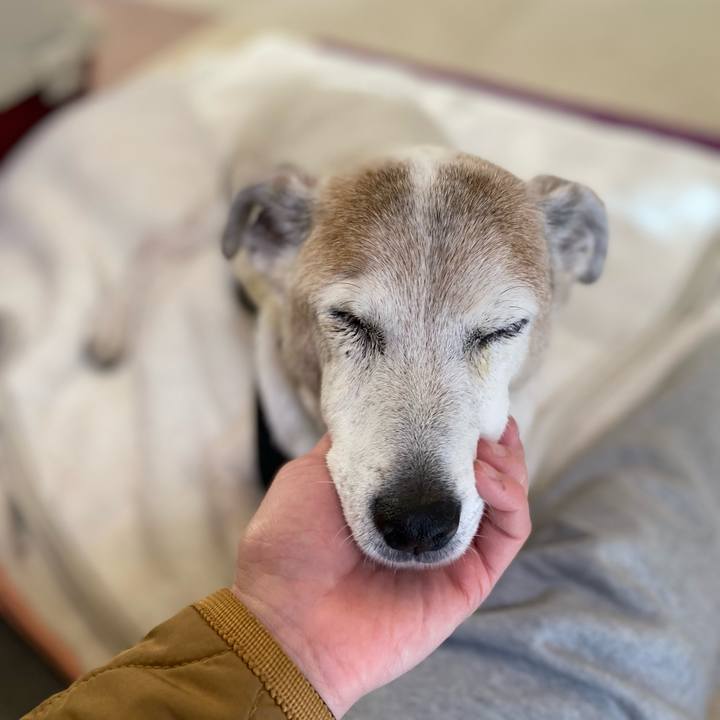 7289e8e6 e861 4335 9c79 0d737594d06c 1706405130748