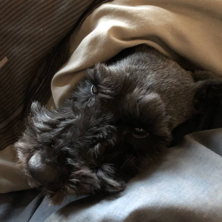 7289fbbd 3c15 485a 89c4 330cc7d09531 1549149075734