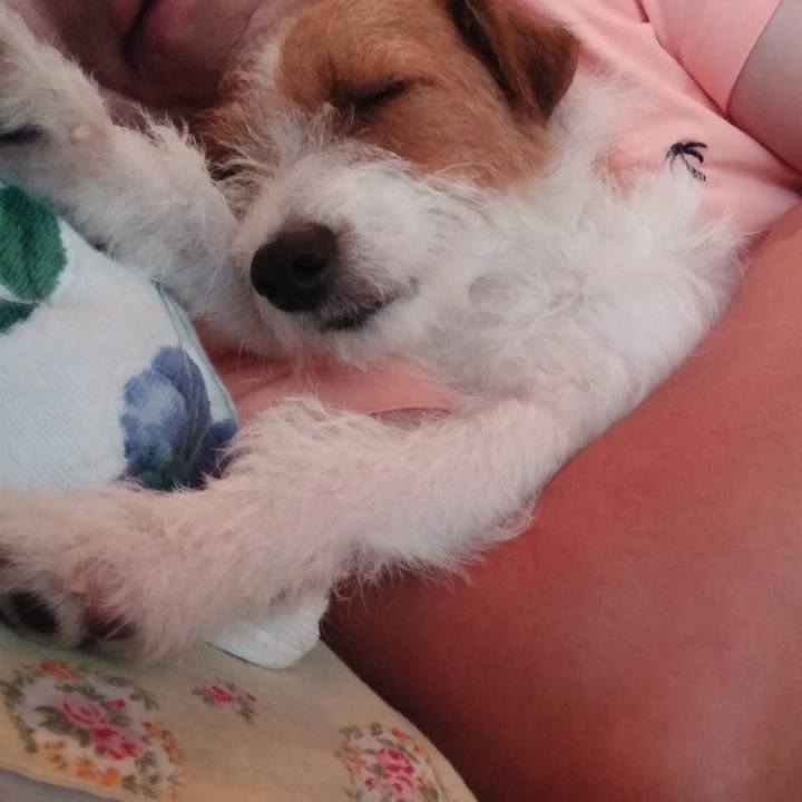 728a01c8 c1bc 43a2 8f94 b92b0a111126 1536237667249