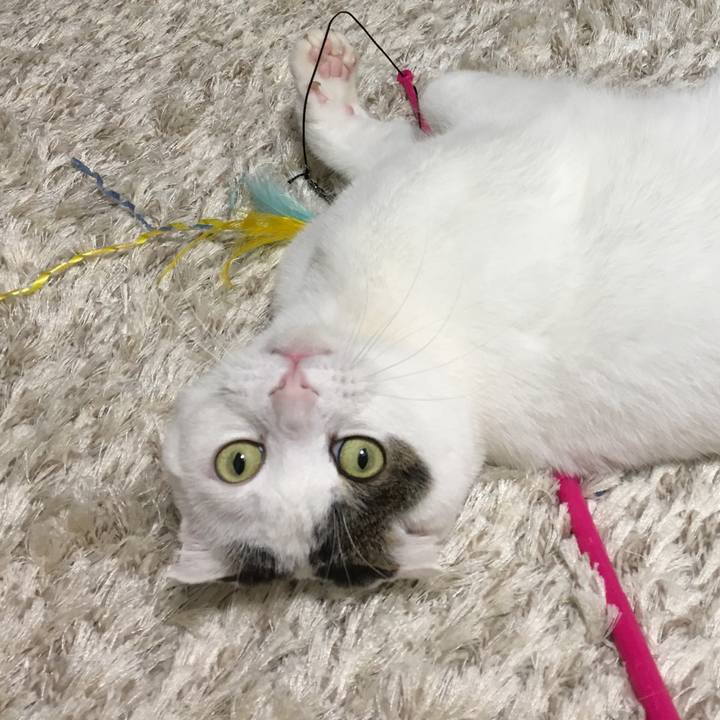 728a137b 1ccd 4ff8 ae01 11407cf45031 1515050205881