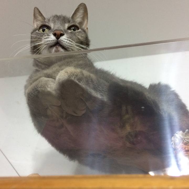 728a4749 3d63 4fae 86c5 053e3feec758 1557845416127