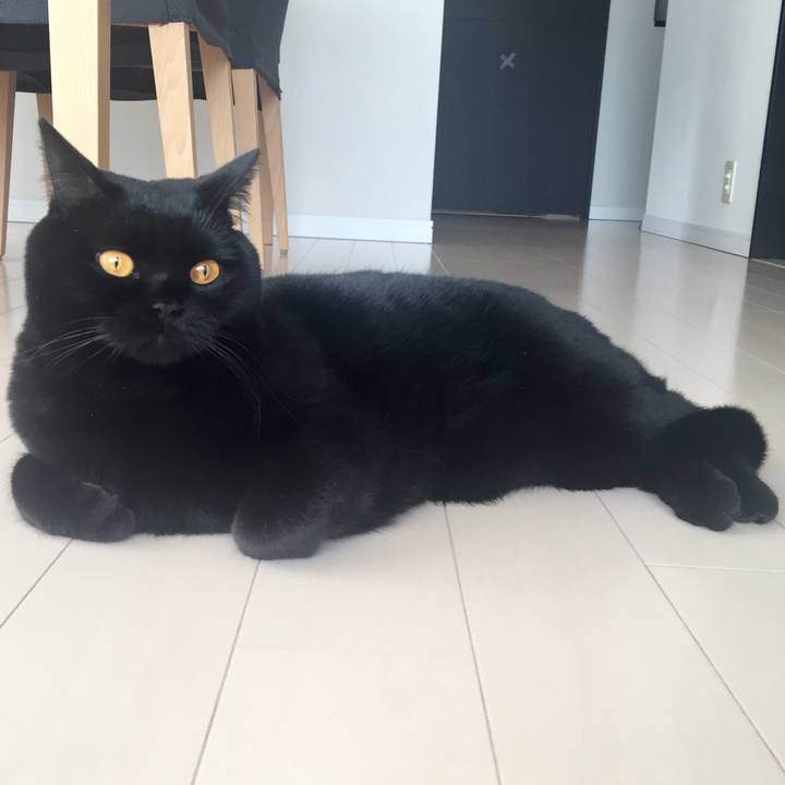 728a4f9b cec5 4328 a34a 41ccb2f3539c 1546209332368