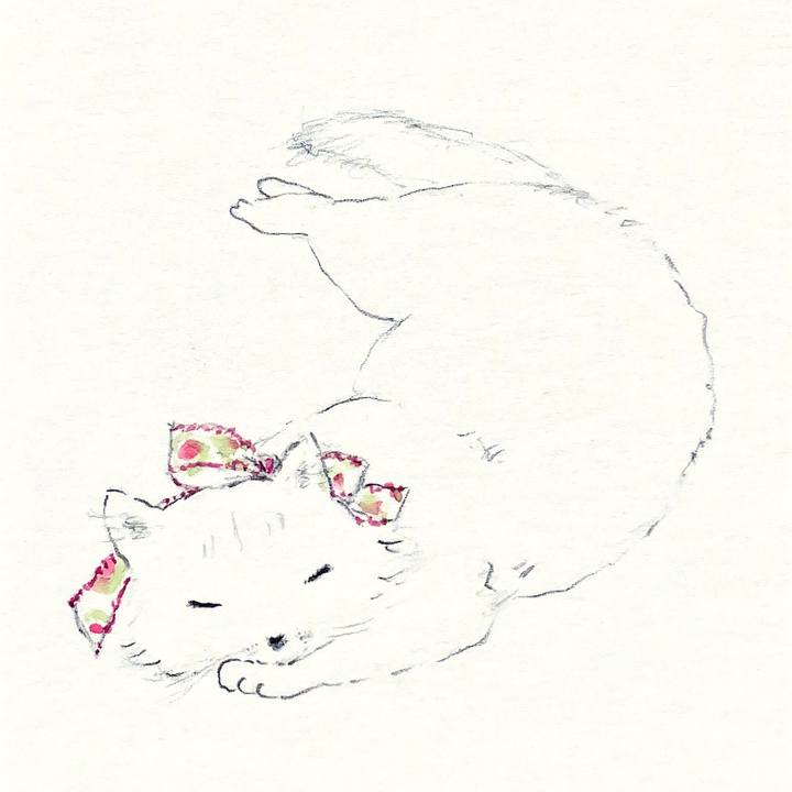 728a5fb6 555a 4339 9ba2 40978367594a 1651020078010