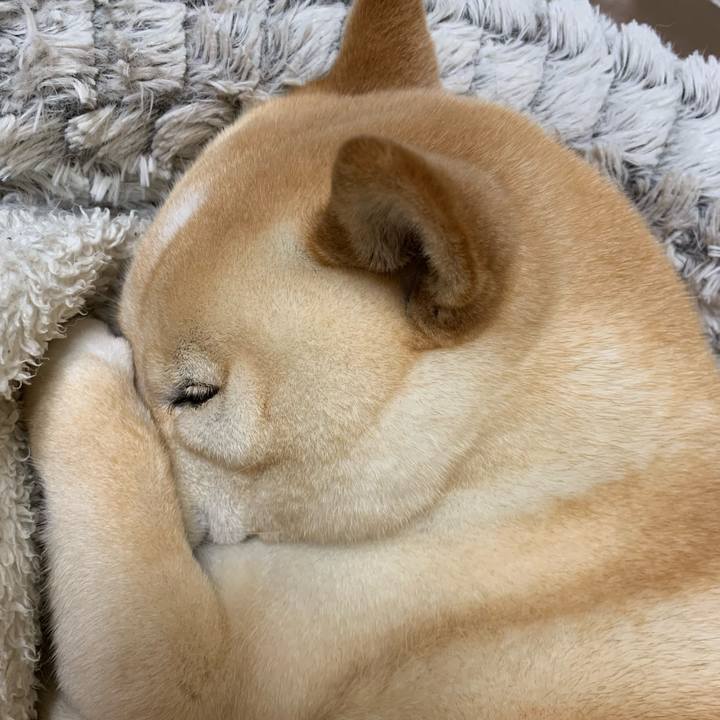 728a7528 1044 4190 b777 8a0b932b8ea0 1646911830519