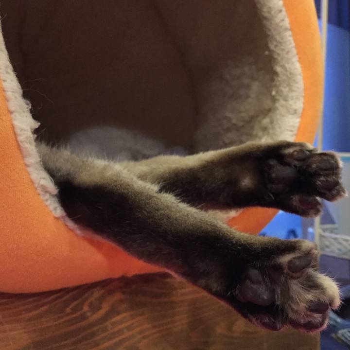 728a7d8c b477 4db0 9950 2f7048f7fd65 1527244979812