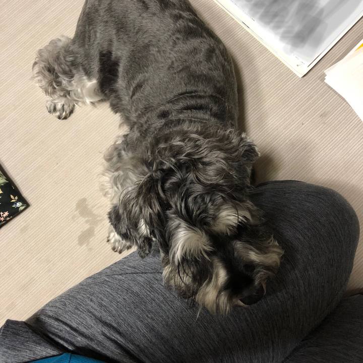 728ab5fc a0fb 4b55 960c 3387414babbd 1628676730763