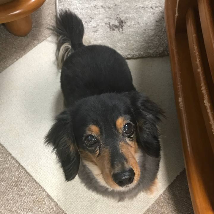 728ac471 eb36 4e5d a966 8ead395692df 1519942030414