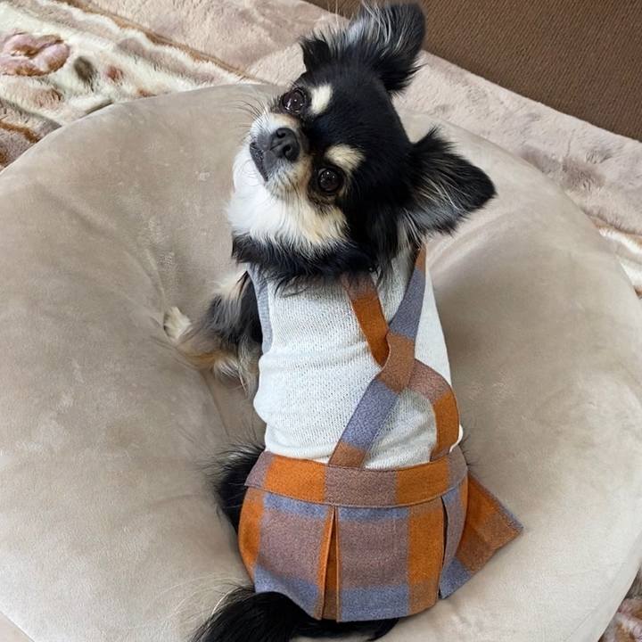 728ae273 fcba 4744 ad7d 574a28b11aa1 1644315904645