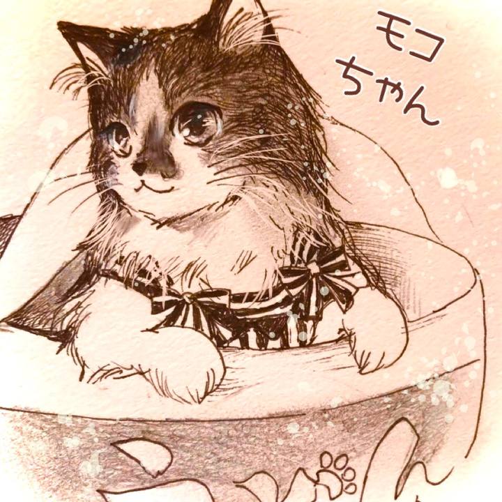 728ae57c 21c4 471b 9106 19c7972a1501 1615296628860