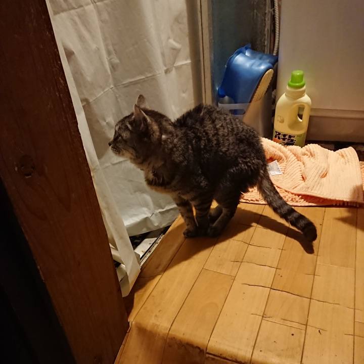 728b0386 bb78 4f25 9e1f 9d06abff6772 1579338548124