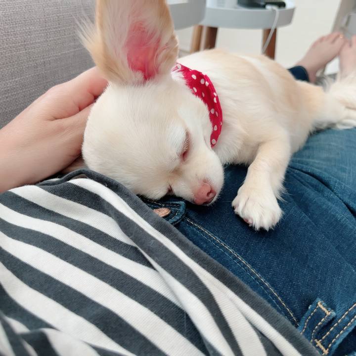 728b0924 c9aa 4c3d 93f2 234ab4573207 1685621304384