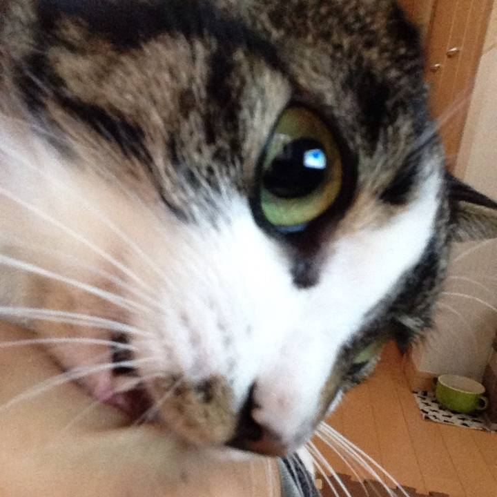 728b2664 c368 46f5 9cfa d5f540b4abd7 1510634911217