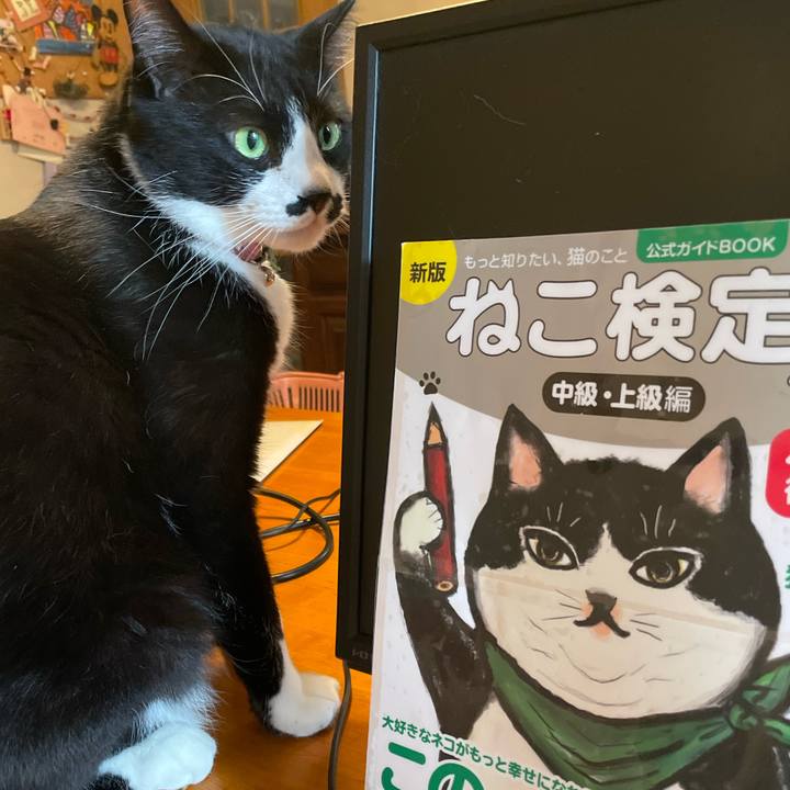 728b2f38 db03 4a16 9beb cbcb3a31c42b 1711264156207