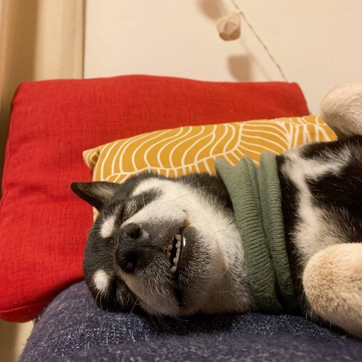 728b47c9 4edc 41c6 b527 df16d8f53484 1735309306300