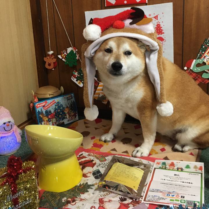 728b5a37 959c 49c5 9331 ea009ee55164 1640241531933