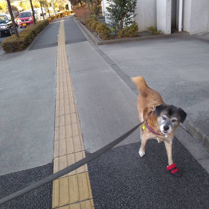 728b6a69 ae27 48df b12f 5e21d64ef4ea 1546994017615