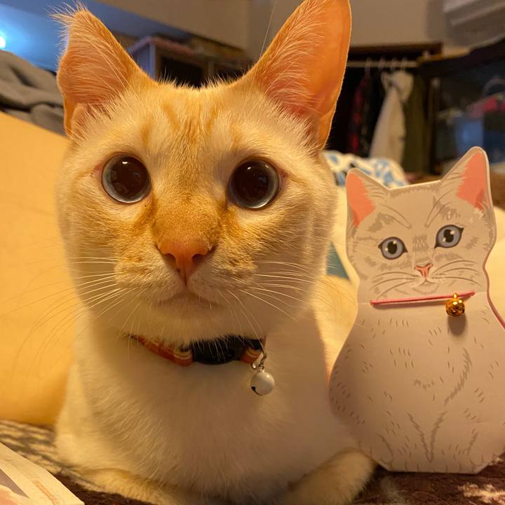 728b7a1c 4c9f 49ba 9d94 fc77ebc019fd 1697356145388