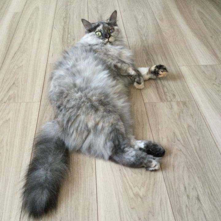 728b7ca0 c601 4a08 a53b 06d8ba5b3dfe 1758435840010