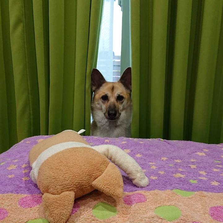 728b980c 47b9 4fc4 9db7 ad843be19d63 1532442934821