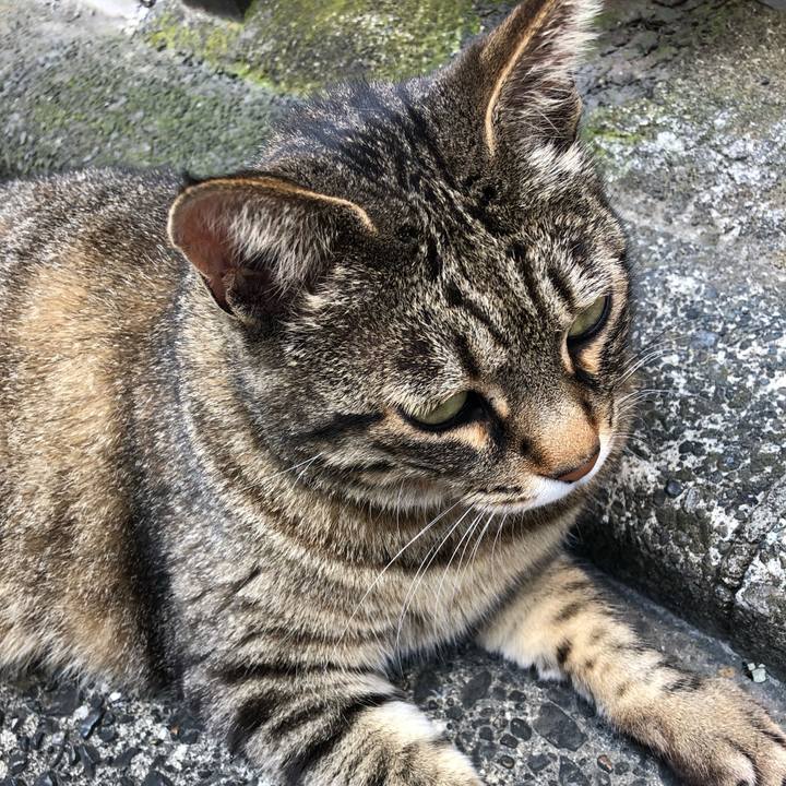 728bc9aa 42c2 423b be7a 8bce174a5c62 1561435615414