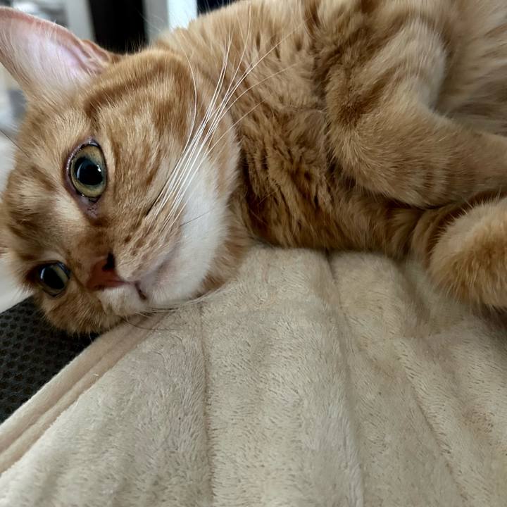 728be759 05e0 4d4b af8a 9bf5ed24f070 1688511605171