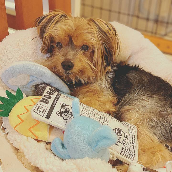 728c04b6 b094 4906 b4ac 1dd5e6efcdd0 1576579068709