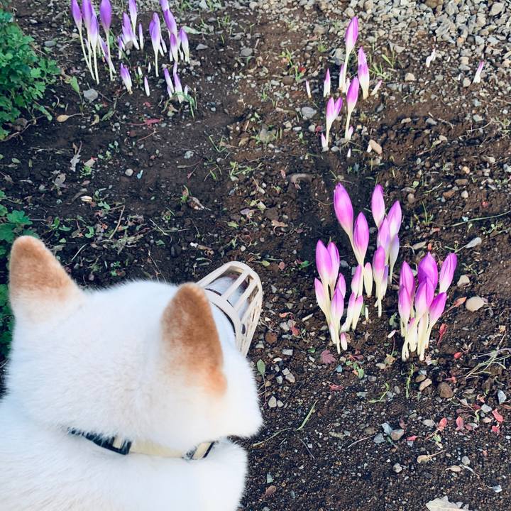 728c2240 31a3 45a1 ad83 71b4d5060c50 1601243472295