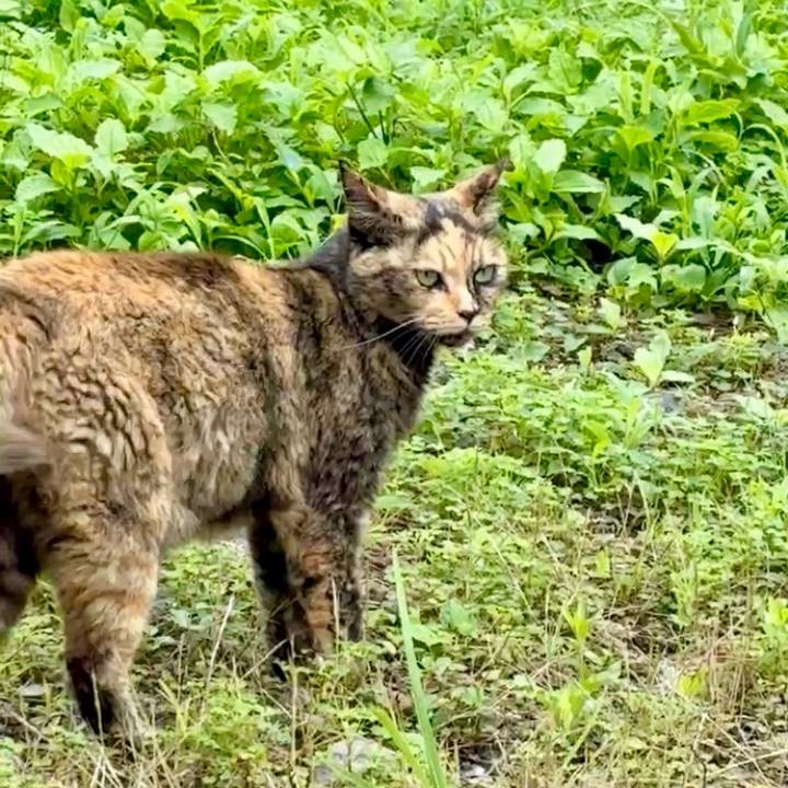 728c2a02 ac63 4d88 a54d 297bb641fa76 1750902672207