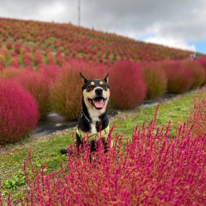 728c6584 3467 4985 9166 6ed38460d4c3 1633519233847