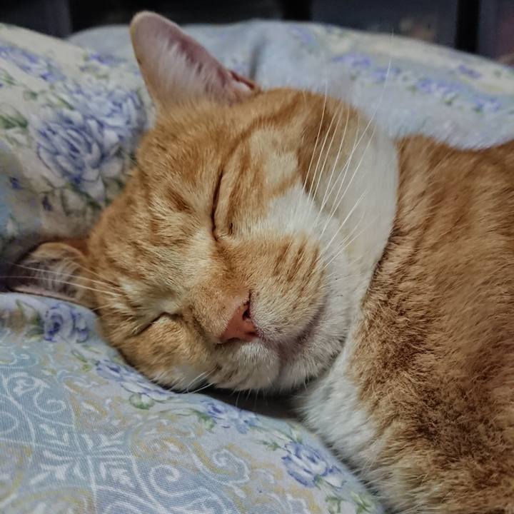 728c8b3c 4037 4612 825d b2ff3d65b366 1576756770497