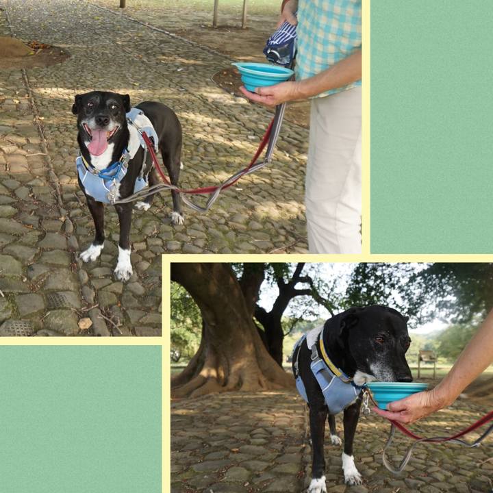 728c9982 0859 4831 980e ee2a06fc66bd 1756602595233