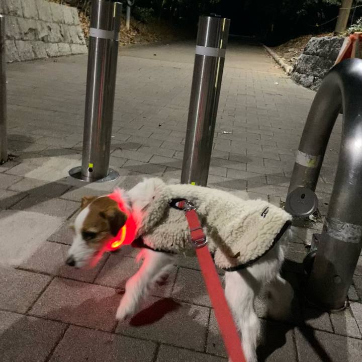 728c99d3 ec6d 48af a90d b20129924bb9 1739622259070