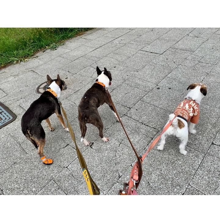 728cbe25 9ffe 4d26 b8ae 7bafa311ef8c 1622895881267