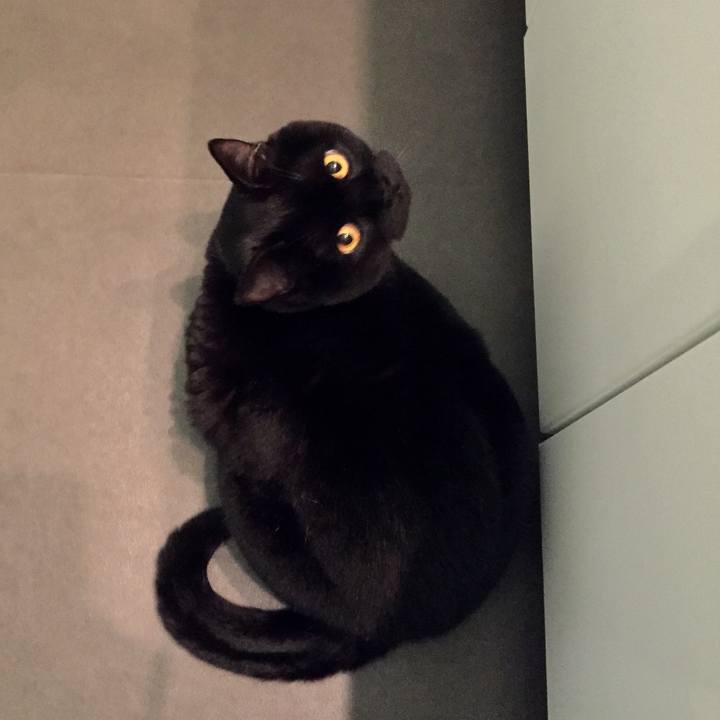 728cc7f6 f05b 483e 8399 37d799148d9a 1547715664137