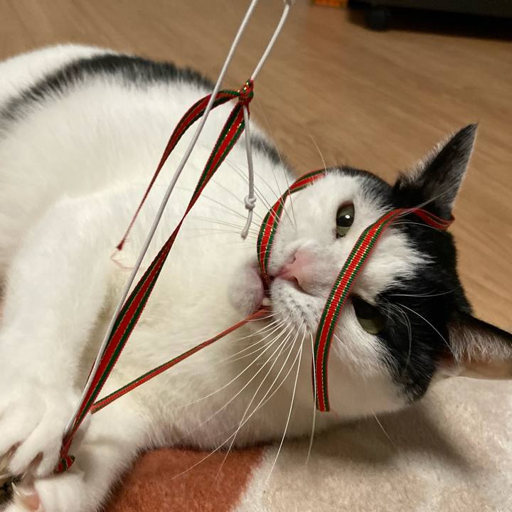 728ce046 ddec 4cb9 ac2b 2c9cc9306422 1576065406495