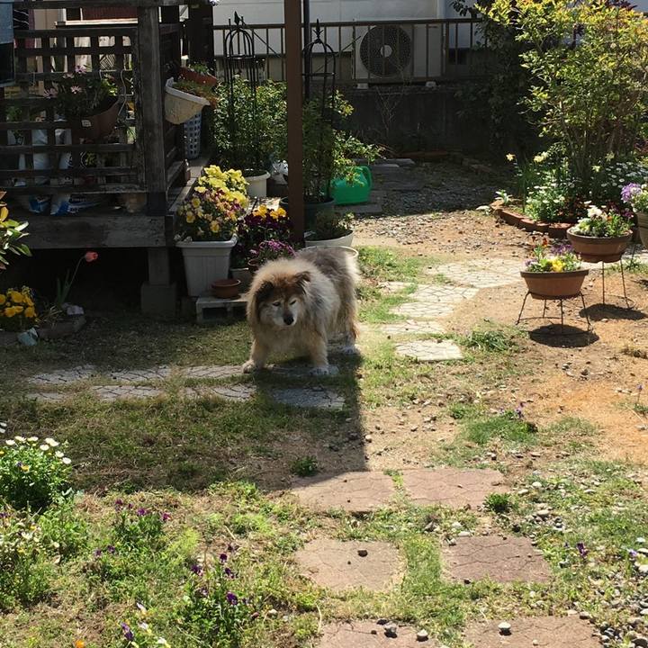 728ce07c c1ce 4abf b5e3 74fd840b07dc 1573649459440