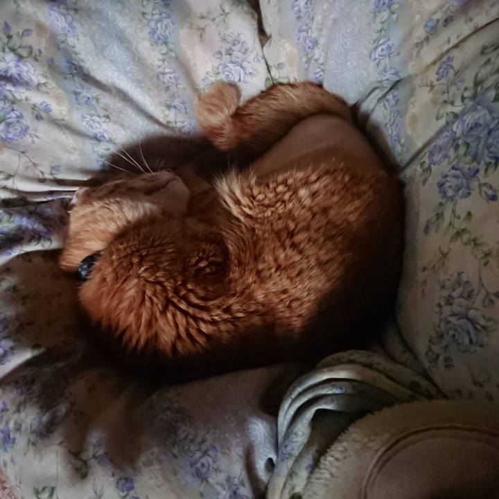 728cfee0 f5bd 4300 813f 94b49340cd9b 1654900178970