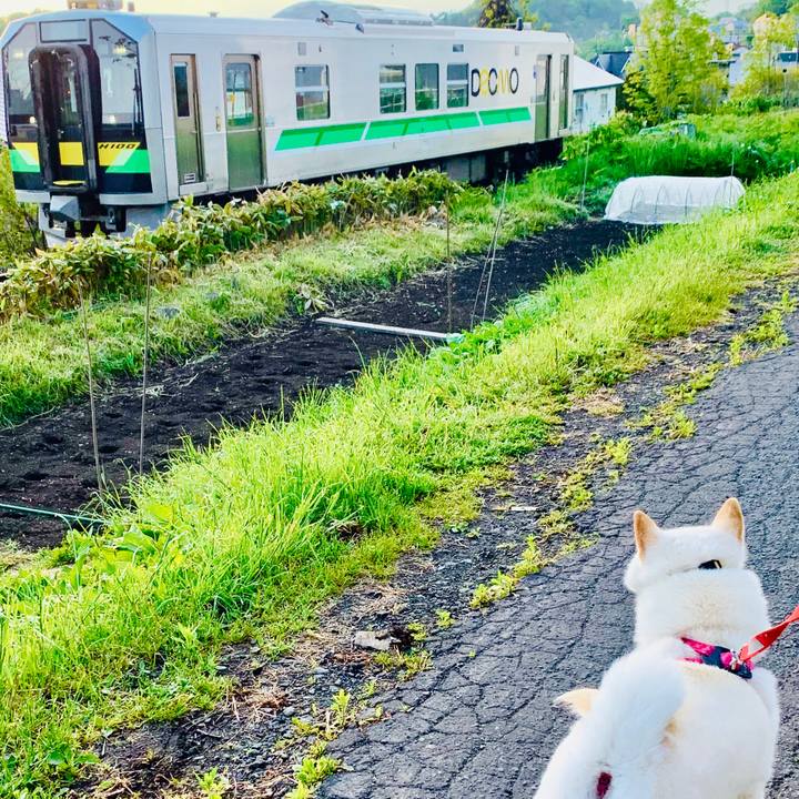 728d50c7 070f 4a72 8319 e72918a79a93 1590698159563