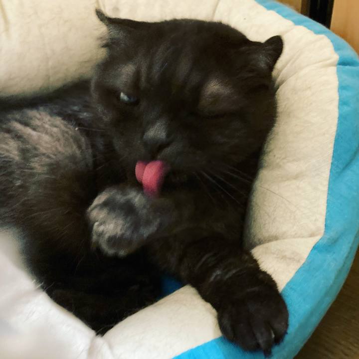 728d566b 22ea 4771 8528 aa88784a4408 1632114415087