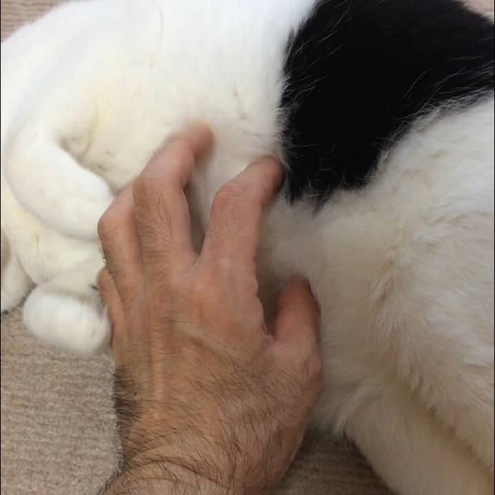 728da8d0 bbaa 49ea 8eb6 fd2996d66439 1576061178070