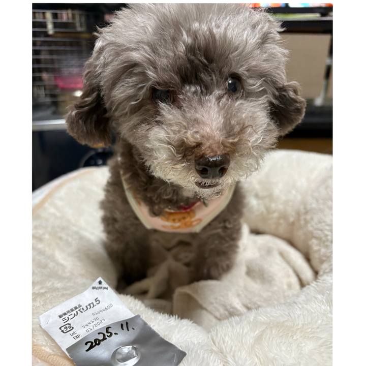 728dafad c4d7 42b9 8da1 8c6de46747a9 1763545430569