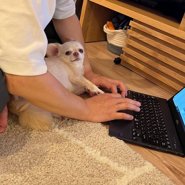 728dde88 d7d0 4b13 bbc5 f91ef9c0d6a9 1724766796159