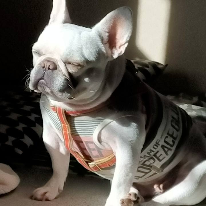 728de824 7e3c 4ed5 a340 4a963472fa75 1638501479314